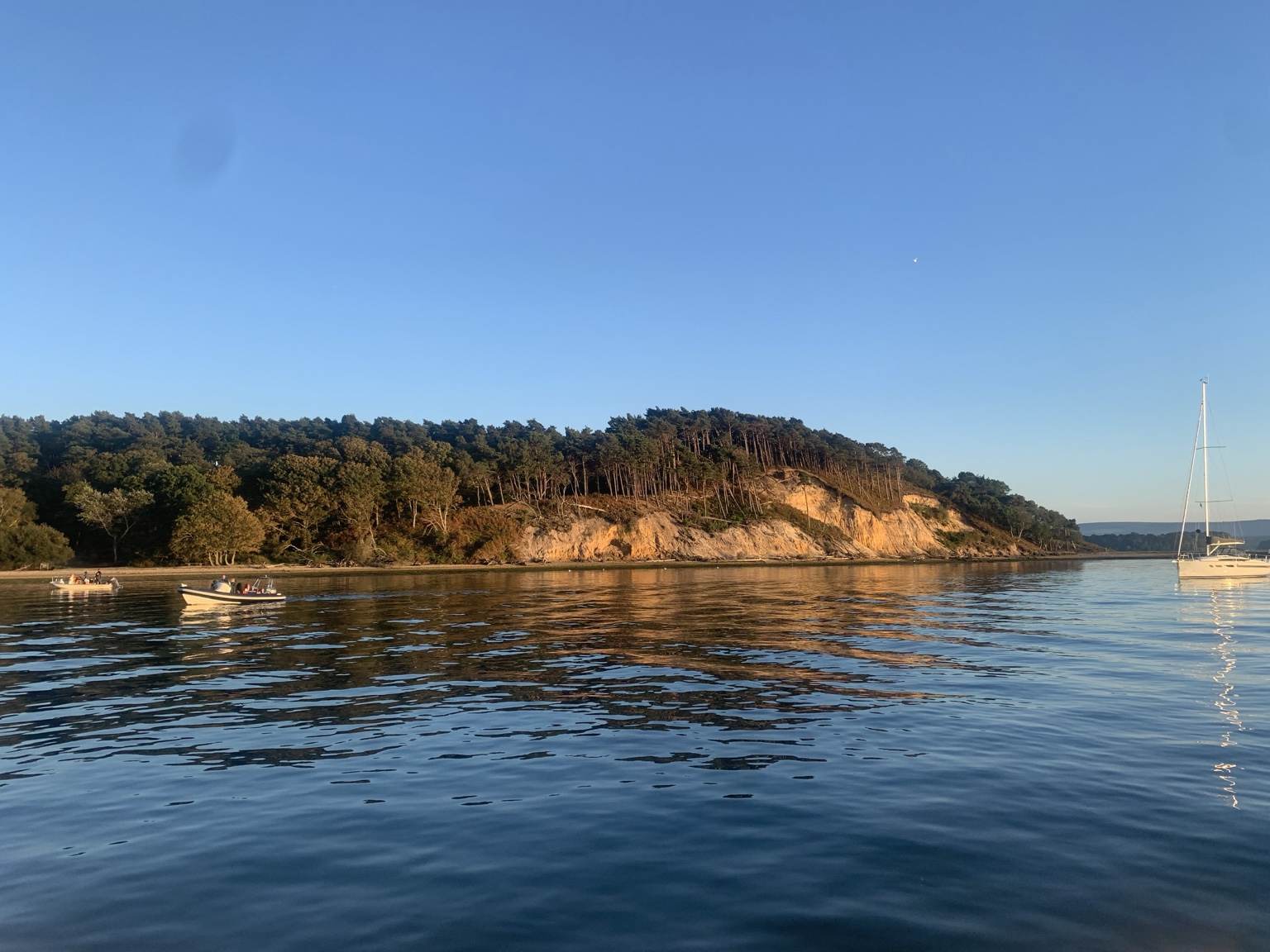 Brownsea Island