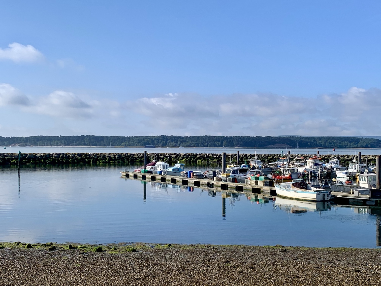 Fishing boats reflected in calm harbour water