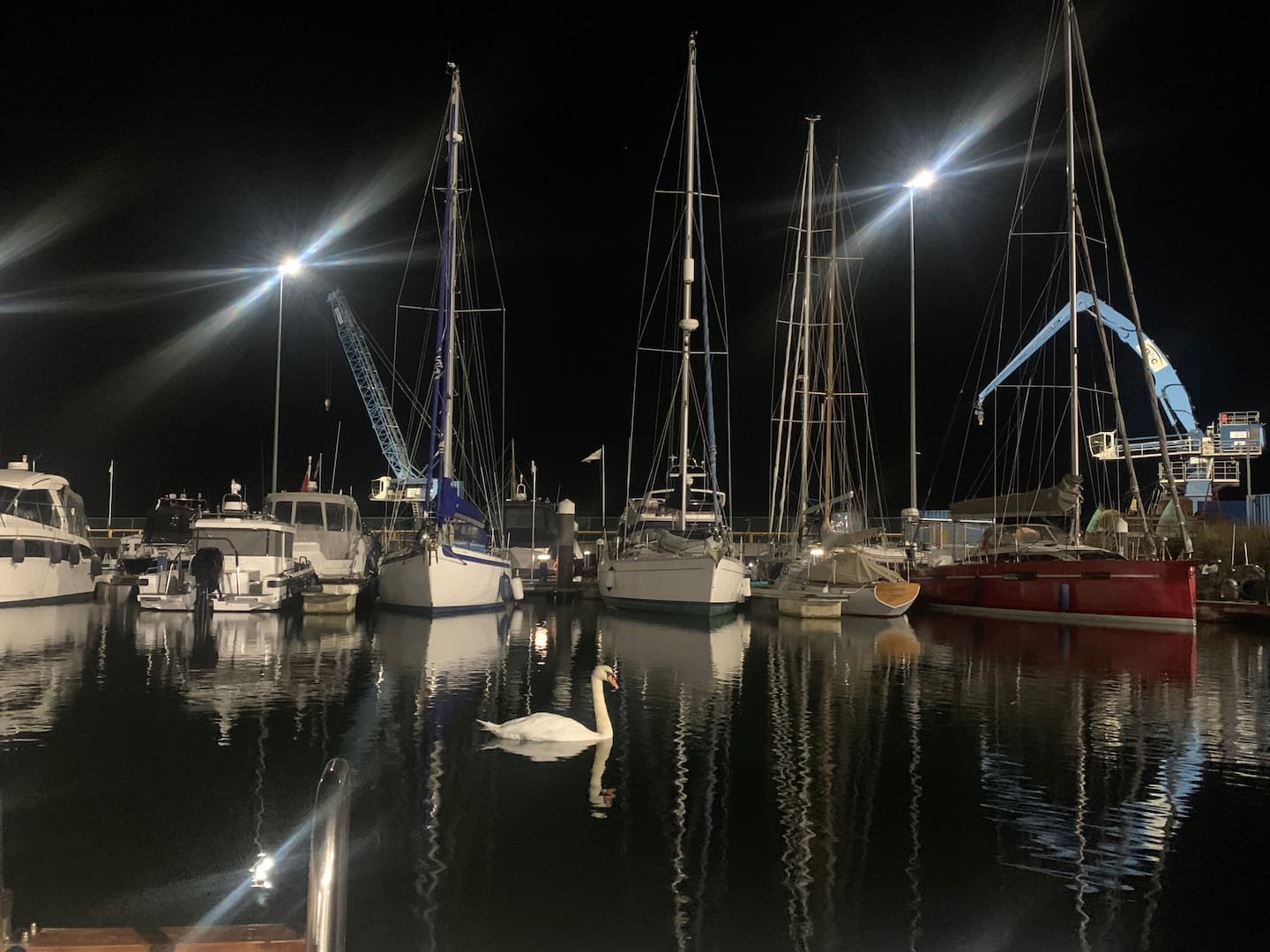 Harbour after dark