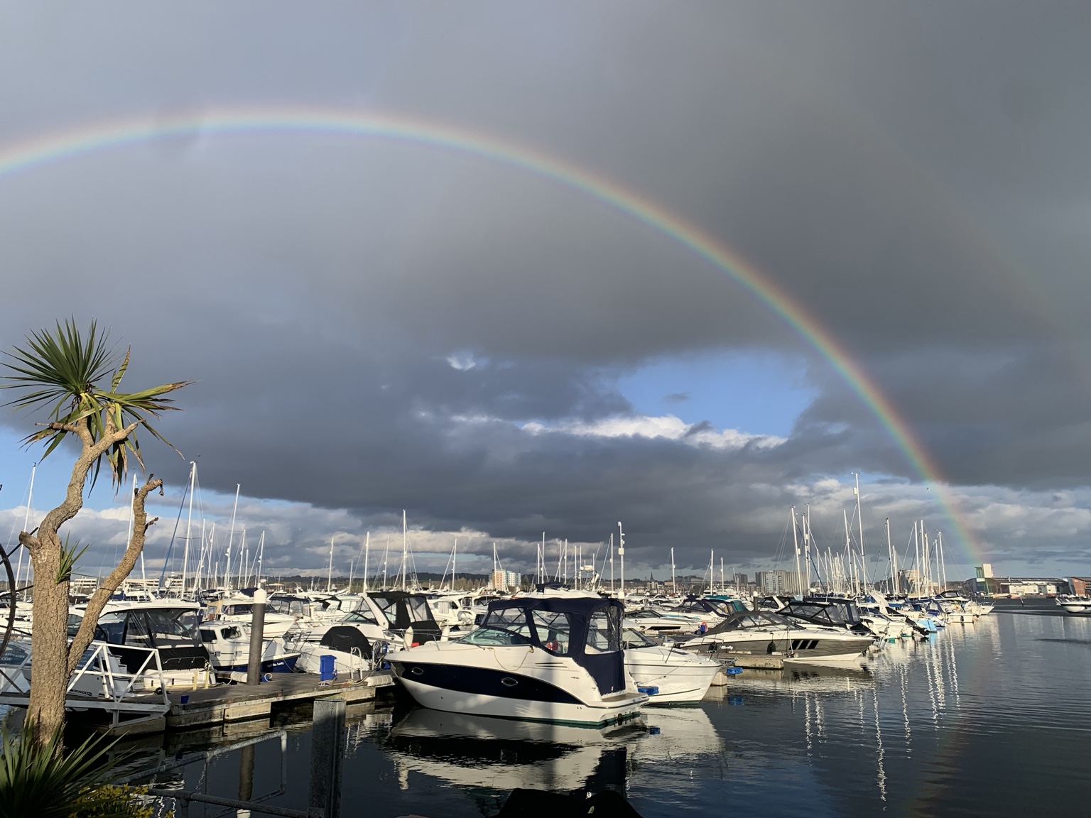 Daytime marina with boats beneath a rainbow